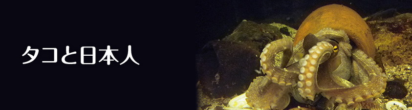 タコと日本人 