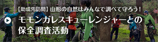【助成先訪問】山形の自然はみんなで調べて守ろう！モモンガレスキューレンジャーとの保全調査活動