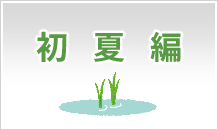 初夏編