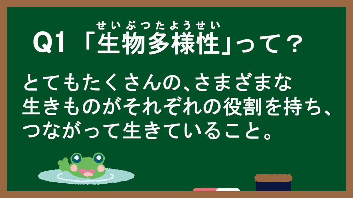 Q1:「生物多様性(せいぶつたようせい)」って?