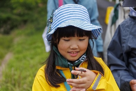 自然観察の様子